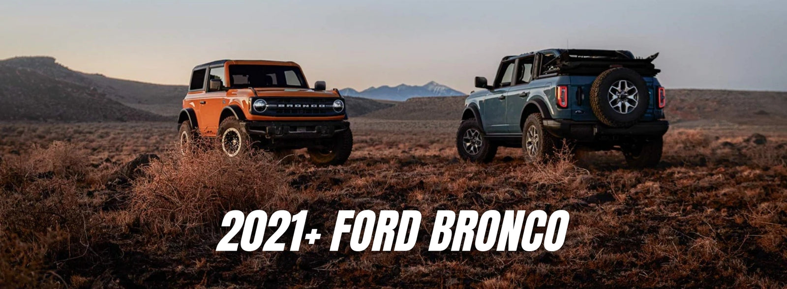Ford Bronco