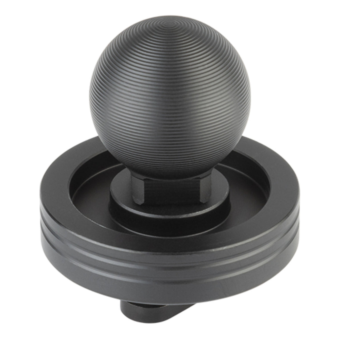 Backup Camera Monitor Mount &amp; T-Bolt Adapter with 20mm Ball Mount